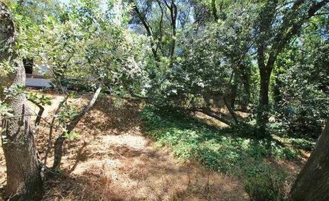 20085 Rough And Ready Trl, Sonora, CA 95370 photo 23