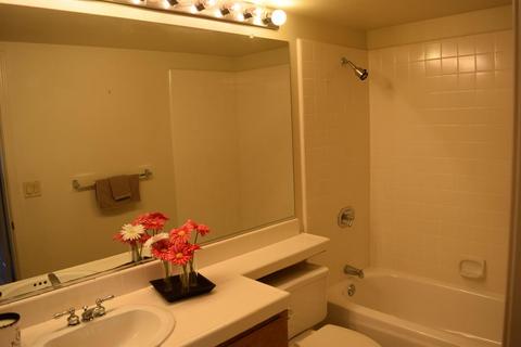 2092 Egret Dr, Tracy, CA 95376 photo 12