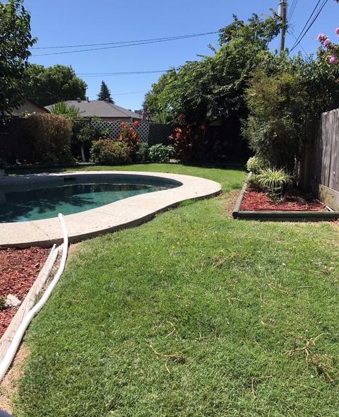 1110 Holly Dr, Lodi, CA 95240 photo 13