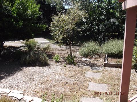 2424 Overhill Ln, Davis, CA 95616 photo 5