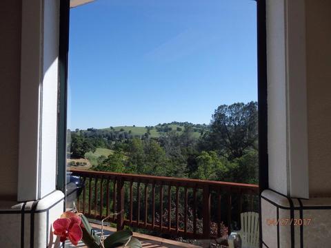100 David, Sutter Creek, CA 95685 photo 16