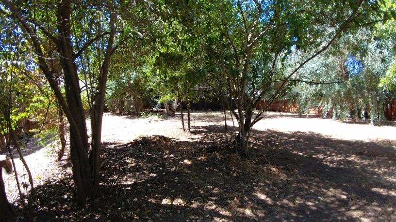 3137 Hadley Ln, Carmichael, CA 95608 photo 21