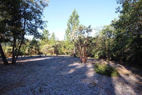 720 Hawthorne Rd, Colfax, CA 95713 photo 6