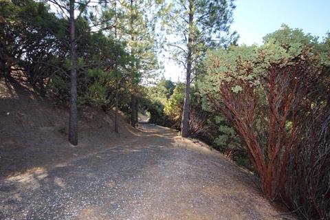 720 Hawthorne Rd, Colfax, CA 95713 photo 15