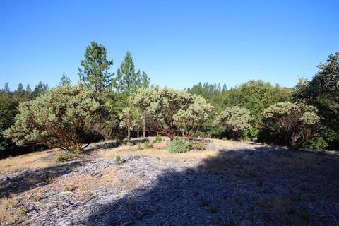 720 Hawthorne Rd, Colfax, CA 95713 photo 2
