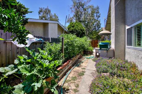 1002 Burr St, Davis, CA 95616 photo 36