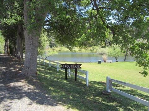 3356 Stope Dr, Placerville, CA 95667 photo 23