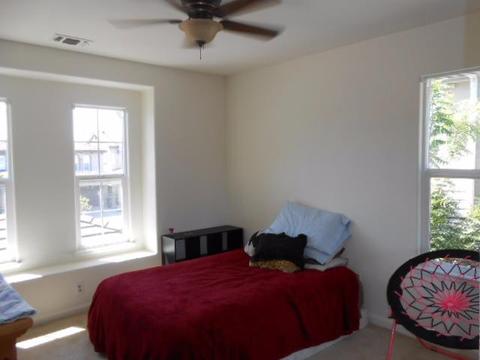 17410 Pheasant Downs Rd, Lathrop, CA 95330 photo 20