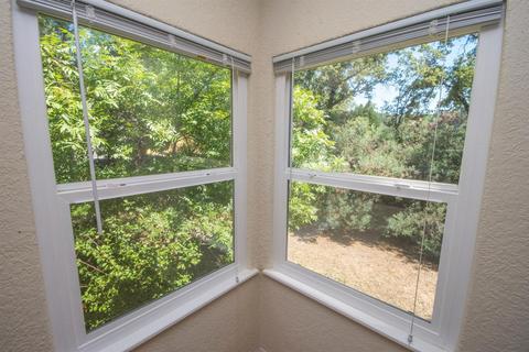 1300 Carson Rd, Placerville, CA 95667 photo 20