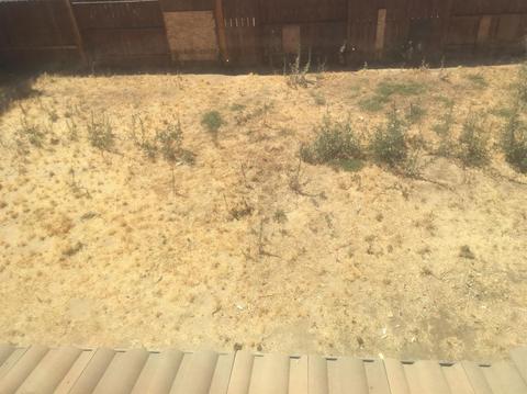 3910 Bella Flora Dr, Ceres, CA 95307 photo 31