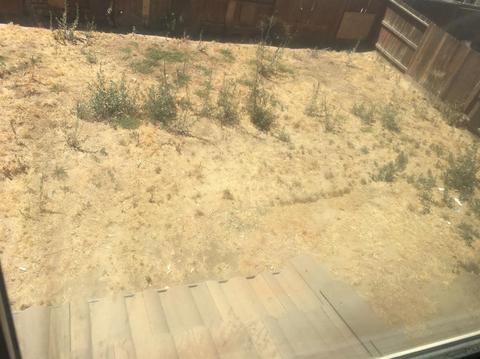 3910 Bella Flora Dr, Ceres, CA 95307 photo 32
