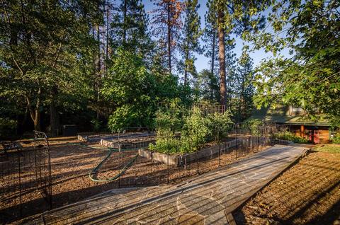 15250 Mitchell Mine Rd, Pine Grove, CA 95665 photo 32