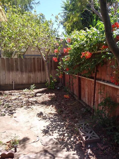 1804 Wilbur Dr, Modesto, CA 95350 photo 19