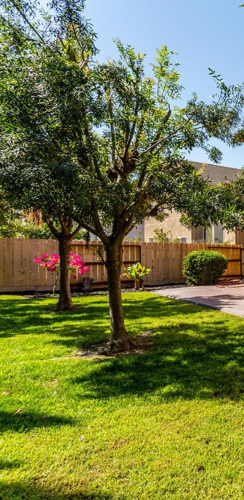 1140 Silver Brook Pl, Manteca, CA 95337 photo 21