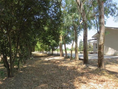 3906 Healy Rd, Merced, CA 95341 photo 23