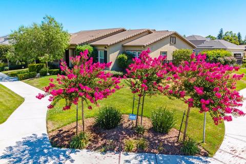 1821 Terry Dr, Ripon, CA 95366 photo 3