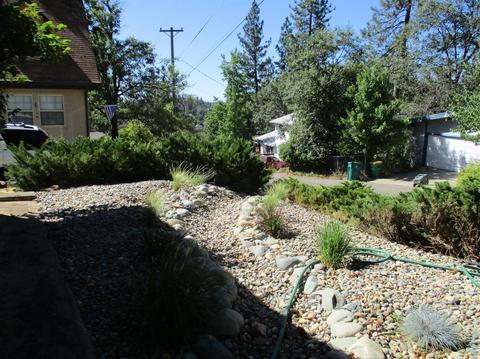 820 Blue Bell Ct, Placerville, CA 95667 photo 15