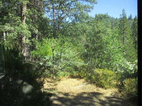 820 Blue Bell Ct, Placerville, CA 95667 photo 18