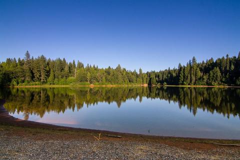 6237 Drop Off Rd, Pollock Pines, CA 95726 photo 23