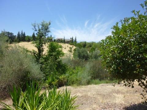 5859 Devon Dr, Rocklin, CA 95765 photo 3