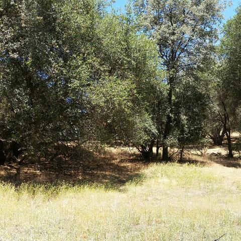 10352 Boller Ct, Grass Valley, CA 95949 photo 8