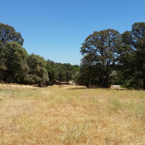10352 Boller Ct, Grass Valley, CA 95949 photo 10