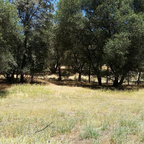 10352 Boller Ct, Grass Valley, CA 95949 photo 9