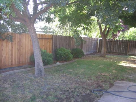 1179 Joseph Ct, Ripon, CA 95366 photo 24