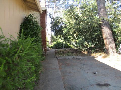 365 Shanghai Way, Placerville, CA 95667 photo 18