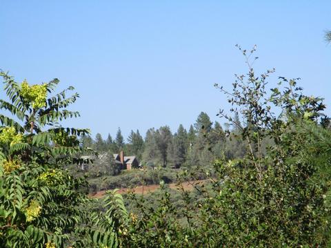 365 Shanghai Way, Placerville, CA 95667 photo 7