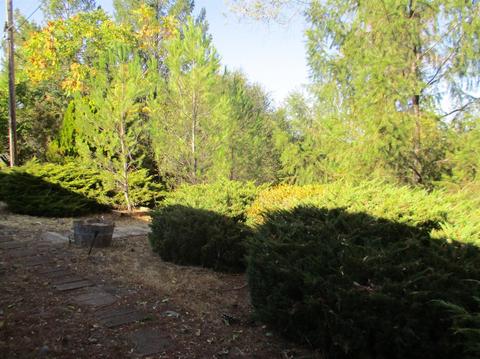 365 Shanghai Way, Placerville, CA 95667 photo 35