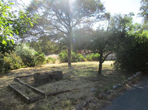 365 Shanghai Way, Placerville, CA 95667 photo 30