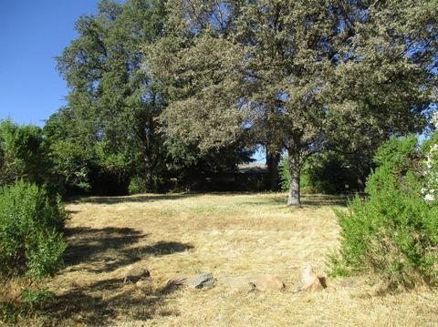 365 Shanghai Way, Placerville, CA 95667 photo 17
