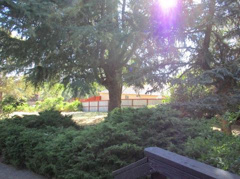 365 Shanghai Way, Placerville, CA 95667 photo 23