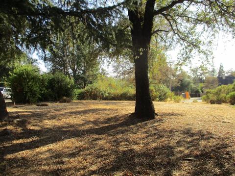 365 Shanghai Way, Placerville, CA 95667 photo 4