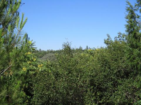 365 Shanghai Way, Placerville, CA 95667 photo 27