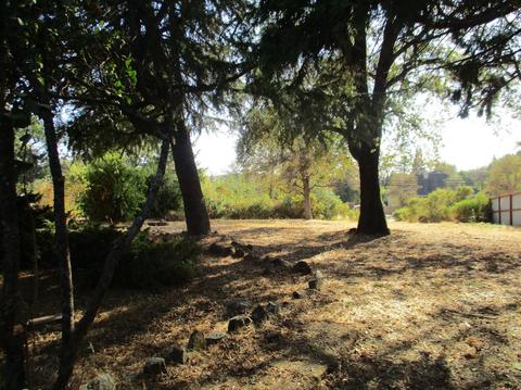 365 Shanghai Way, Placerville, CA 95667 photo 33