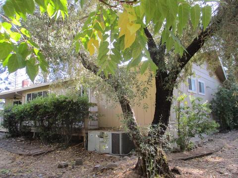 365 Shanghai Way, Placerville, CA 95667 photo 11