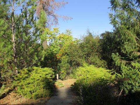 365 Shanghai Way, Placerville, CA 95667 photo 34