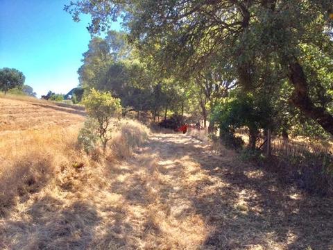 3545 Overton Rd, Cool, CA 95614 photo 15