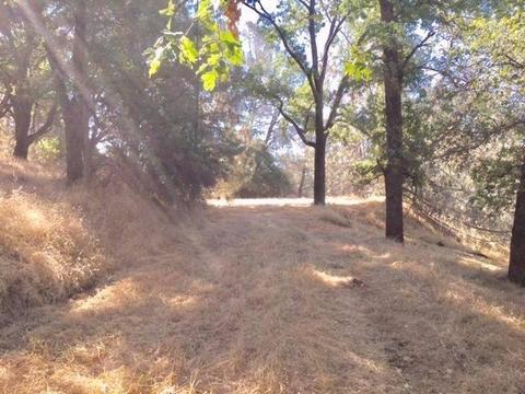 3545 Overton Rd, Cool, CA 95614 photo 2