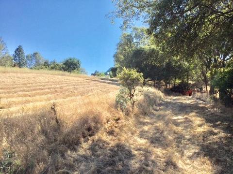 3545 Overton Rd, Cool, CA 95614 photo 14