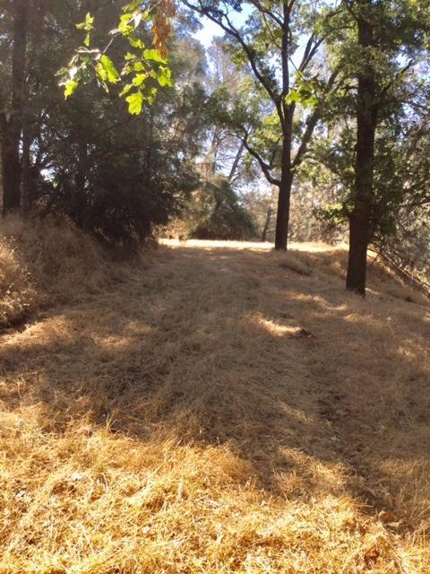 3545 Overton Rd, Cool, CA 95614 photo 3