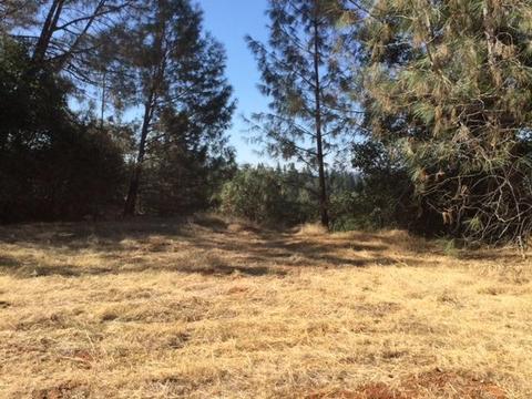 3545 Overton Rd, Cool, CA 95614 photo 10