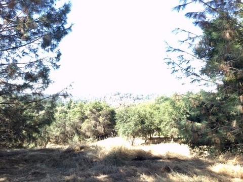3545 Overton Rd, Cool, CA 95614 photo 5
