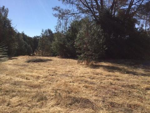 3545 Overton Rd, Cool, CA 95614 photo 17