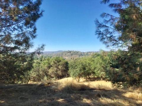 3545 Overton Rd, Cool, CA 95614 photo 6
