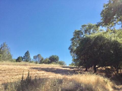 3545 Overton Rd, Cool, CA 95614 photo 13