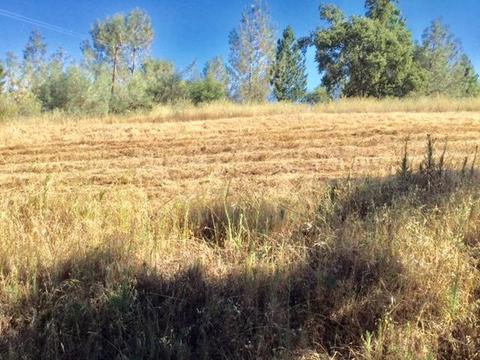 3545 Overton Rd, Cool, CA 95614 photo 12