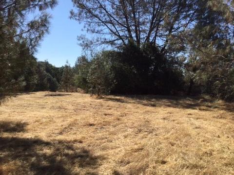 3545 Overton Rd, Cool, CA 95614 photo 9
